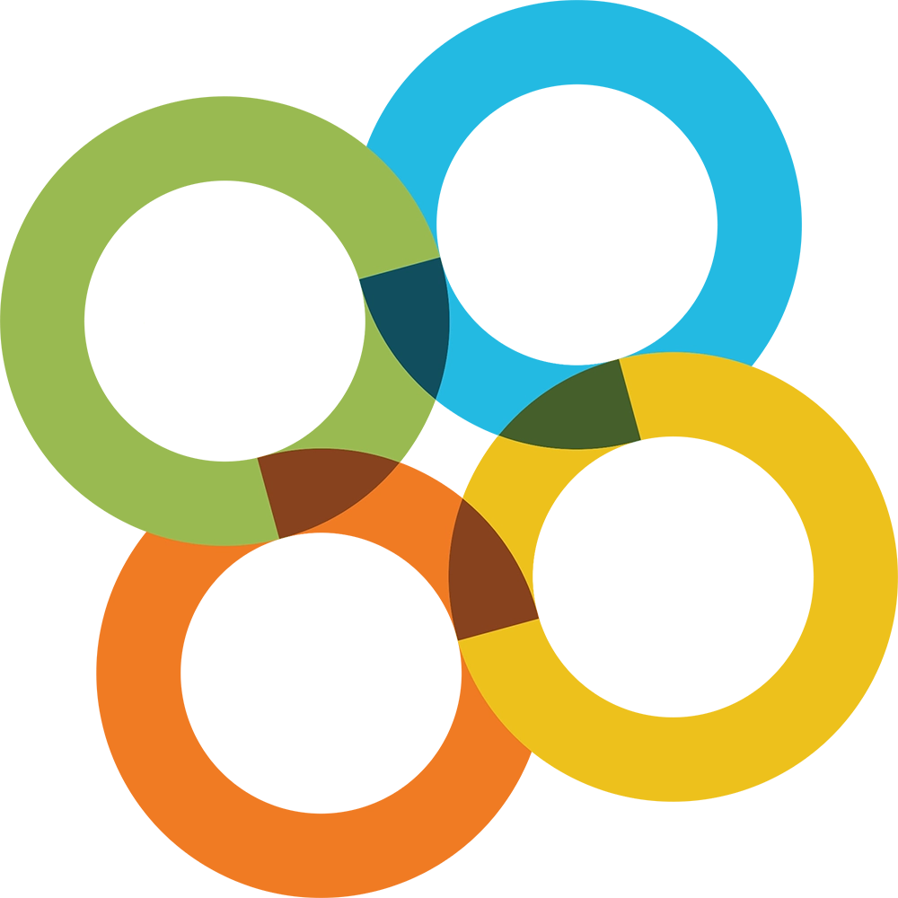Image of the overlapping 4 sections of the quad helix - government, society, academia and industry